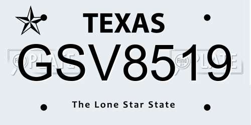 GSV8519 Texas License Plate