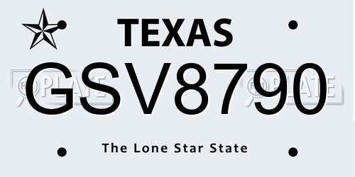 GSV8790 Texas License Plate