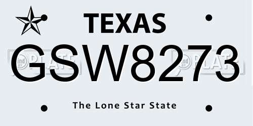 GSW8273 Texas License Plate