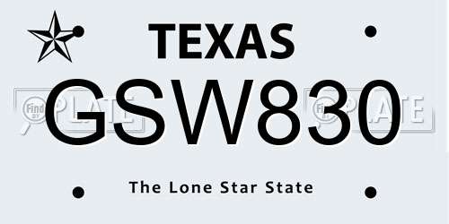 GSW830 Texas License Plate