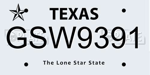GSW9391 Texas License Plate