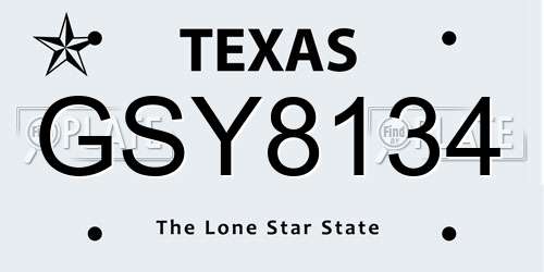 GSY8134 Texas License Plate