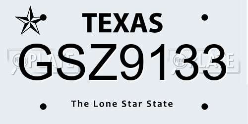 GSZ9133 Texas License Plate
