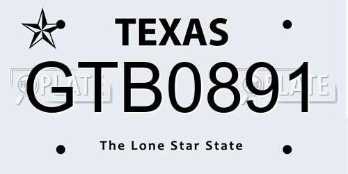 GTB0891 Texas License Plate