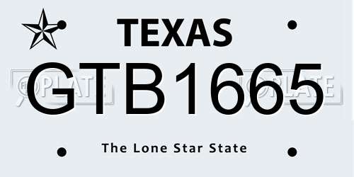 GTB1665 Texas License Plate