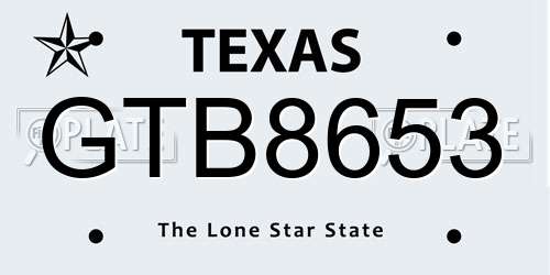 GTB8653 Texas License Plate