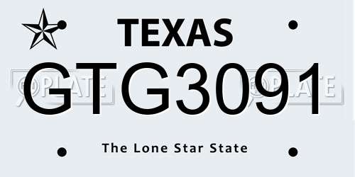 GTG3091 Texas License Plate