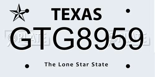 GTG8959 Texas License Plate