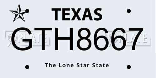 GTH8667 Texas License Plate