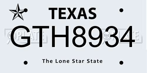 GTH8934 Texas License Plate