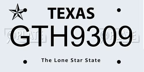 GTH9309 Texas License Plate