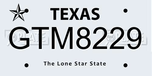 GTM8229 Texas License Plate