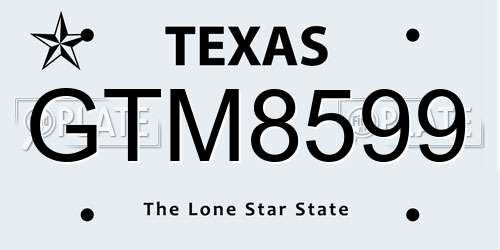 GTM8599 Texas License Plate