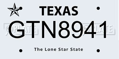 GTN8941 Texas License Plate