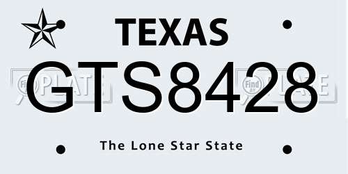 GTS8428 Texas License Plate