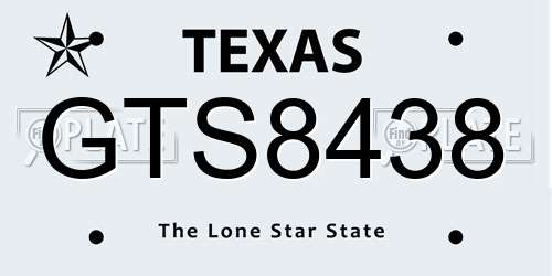 GTS8438 Texas License Plate