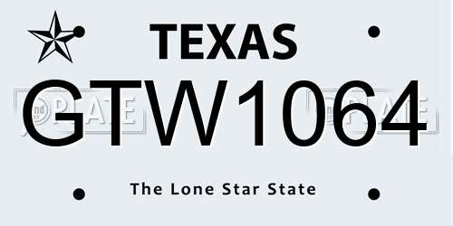 GTW1064 Texas License Plate