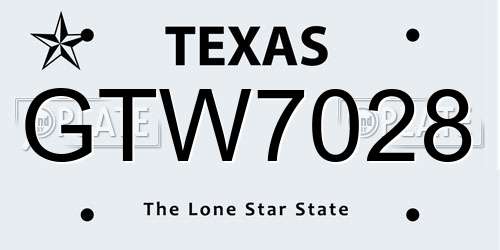 GTW7028 Texas License Plate