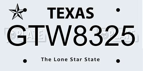 GTW8325 Texas License Plate