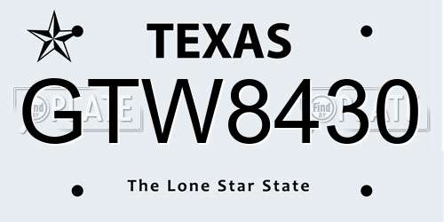 GTW8430 Texas License Plate