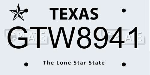 GTW8941 Texas License Plate
