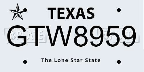 GTW8959 Texas License Plate