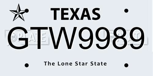 GTW9989 Texas License Plate