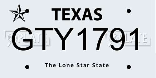 GTY1791 Texas License Plate