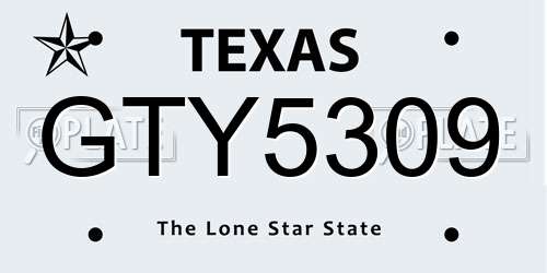 GTY5309 Texas License Plate