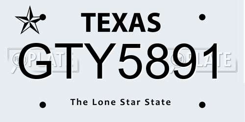 GTY5891 Texas License Plate