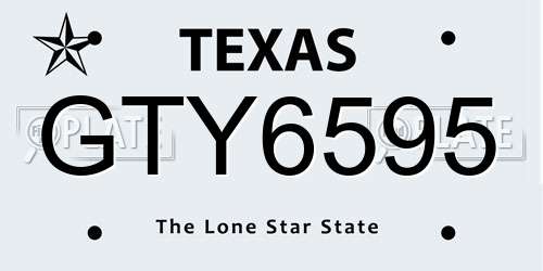 GTY6595 Texas License Plate