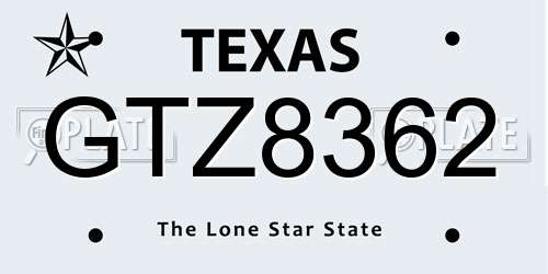 GTZ8362 Texas License Plate