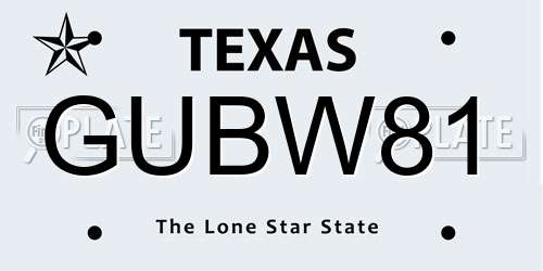 GUBW81 Texas License Plate