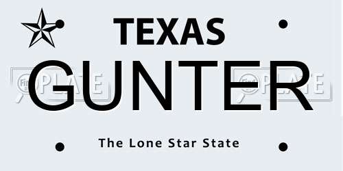 GUNTER Texas License Plate