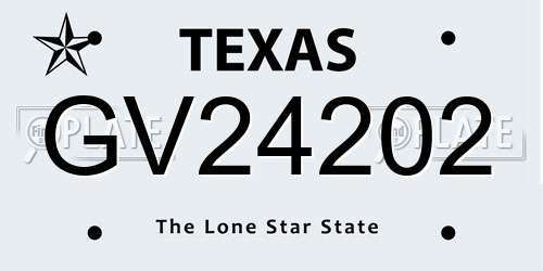 GV24202 Texas License Plate