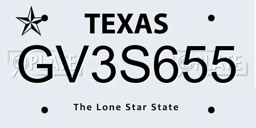 GV3S655 Texas License Plate