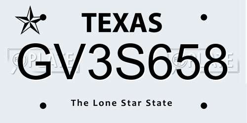 GV3S658 Texas License Plate