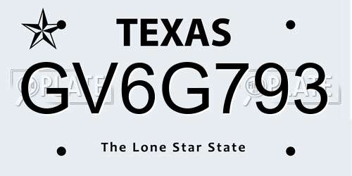 GV6G793 Texas License Plate