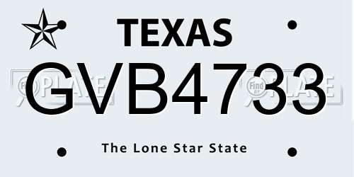 GVB4733 Texas License Plate