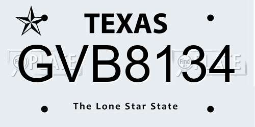GVB8134 Texas License Plate