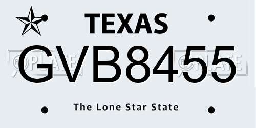 GVB8455 Texas License Plate