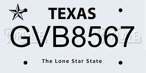 GVB8567 Texas License Plate