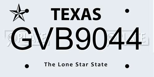 GVB9044 Texas License Plate