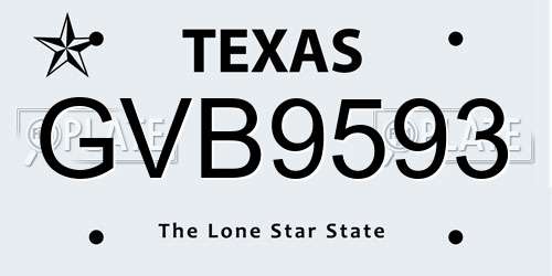 GVB9593 Texas License Plate