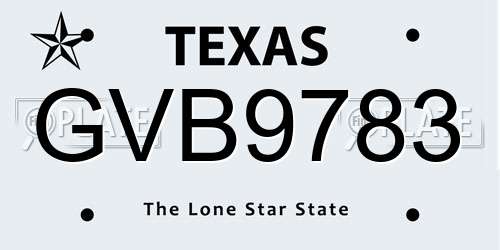 GVB9783 Texas License Plate