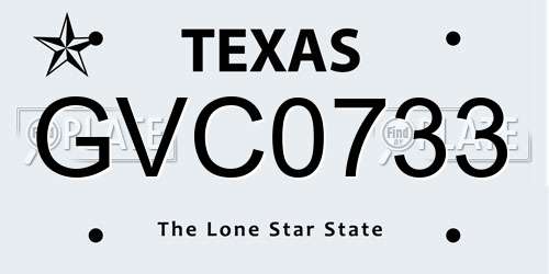 GVC0733 Texas License Plate