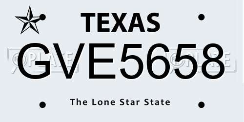 GVE5658 Texas License Plate