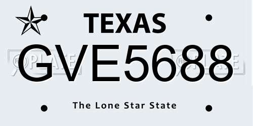 GVE5688 Texas License Plate