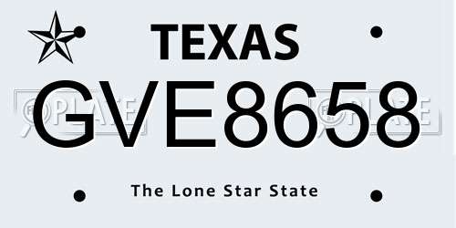 GVE8658 Texas License Plate