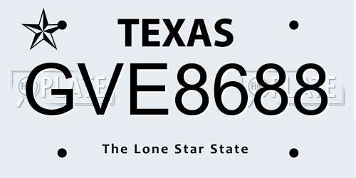 GVE8688 Texas License Plate